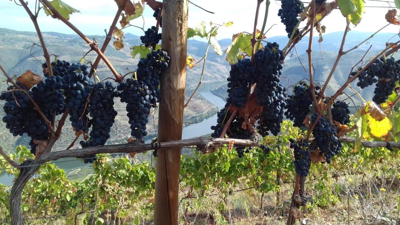 Stay At The Winemaker Ervedosa do Douro 外观 照片