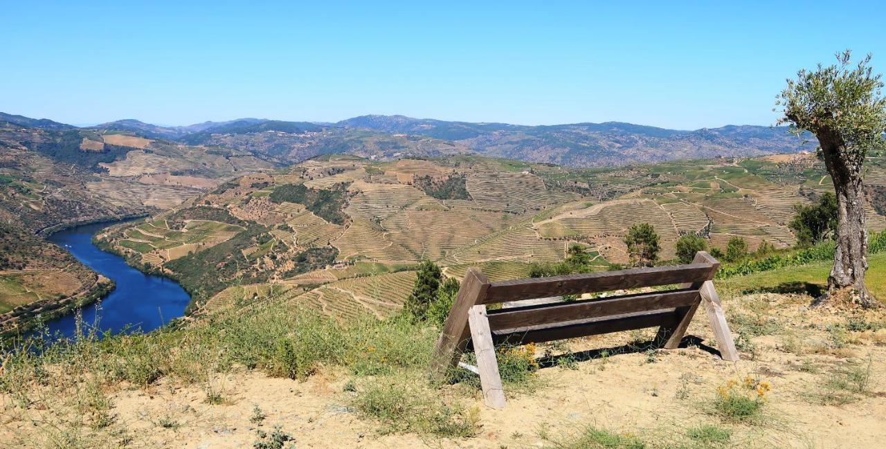 Stay At The Winemaker Ervedosa do Douro 外观 照片
