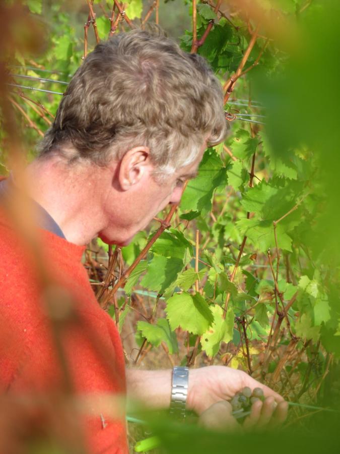 Stay At The Winemaker Ervedosa do Douro 外观 照片