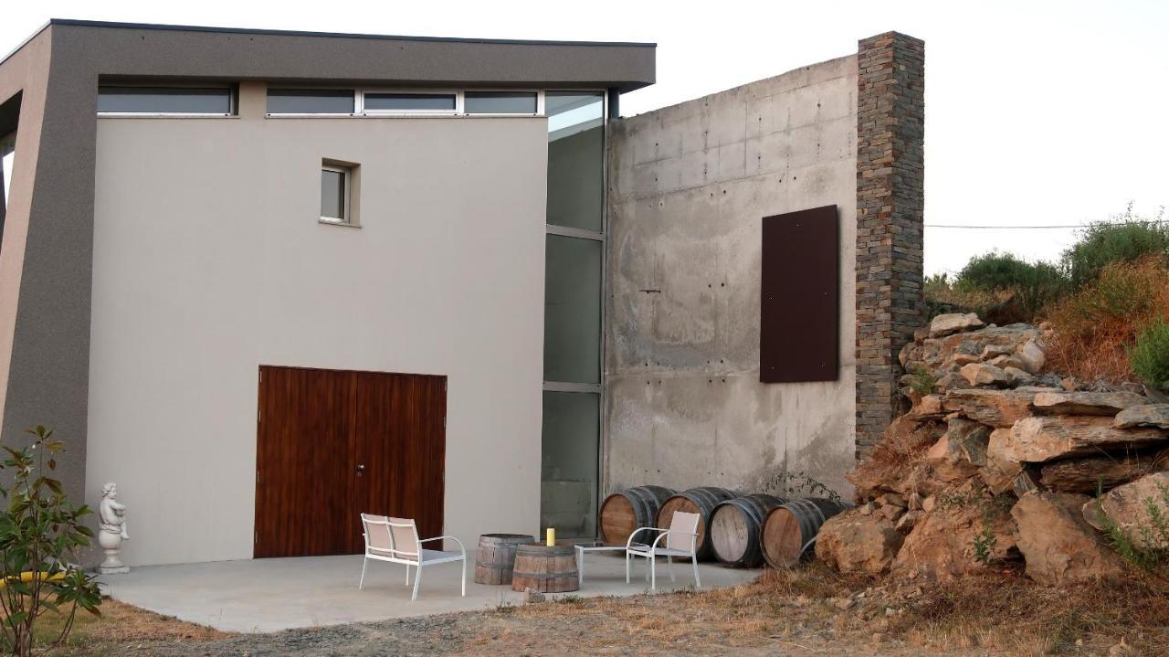 Stay At The Winemaker Ervedosa do Douro 外观 照片