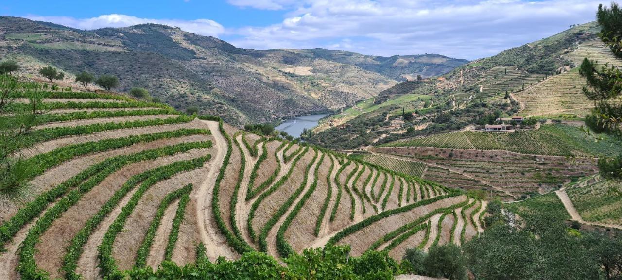 Stay At The Winemaker Ervedosa do Douro 外观 照片