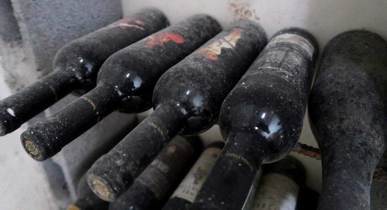 Stay At The Winemaker Ervedosa do Douro 外观 照片