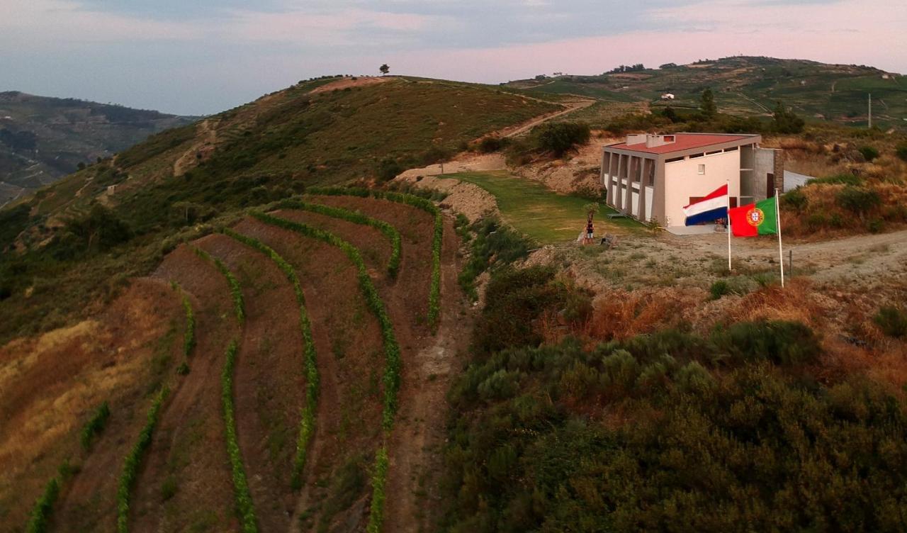 Stay At The Winemaker Ervedosa do Douro 外观 照片