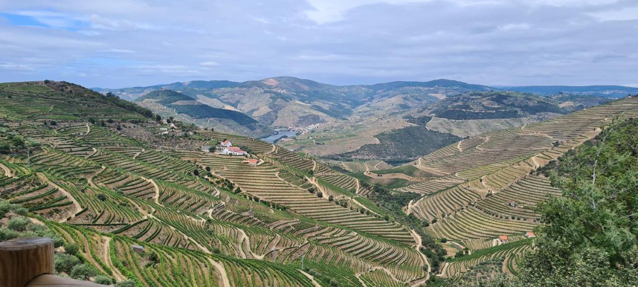 Stay At The Winemaker Ervedosa do Douro 外观 照片