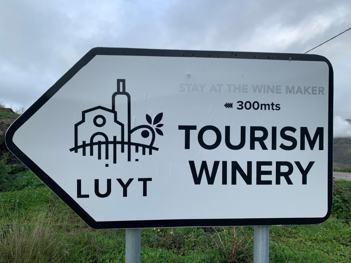 Stay At The Winemaker Ervedosa do Douro 外观 照片