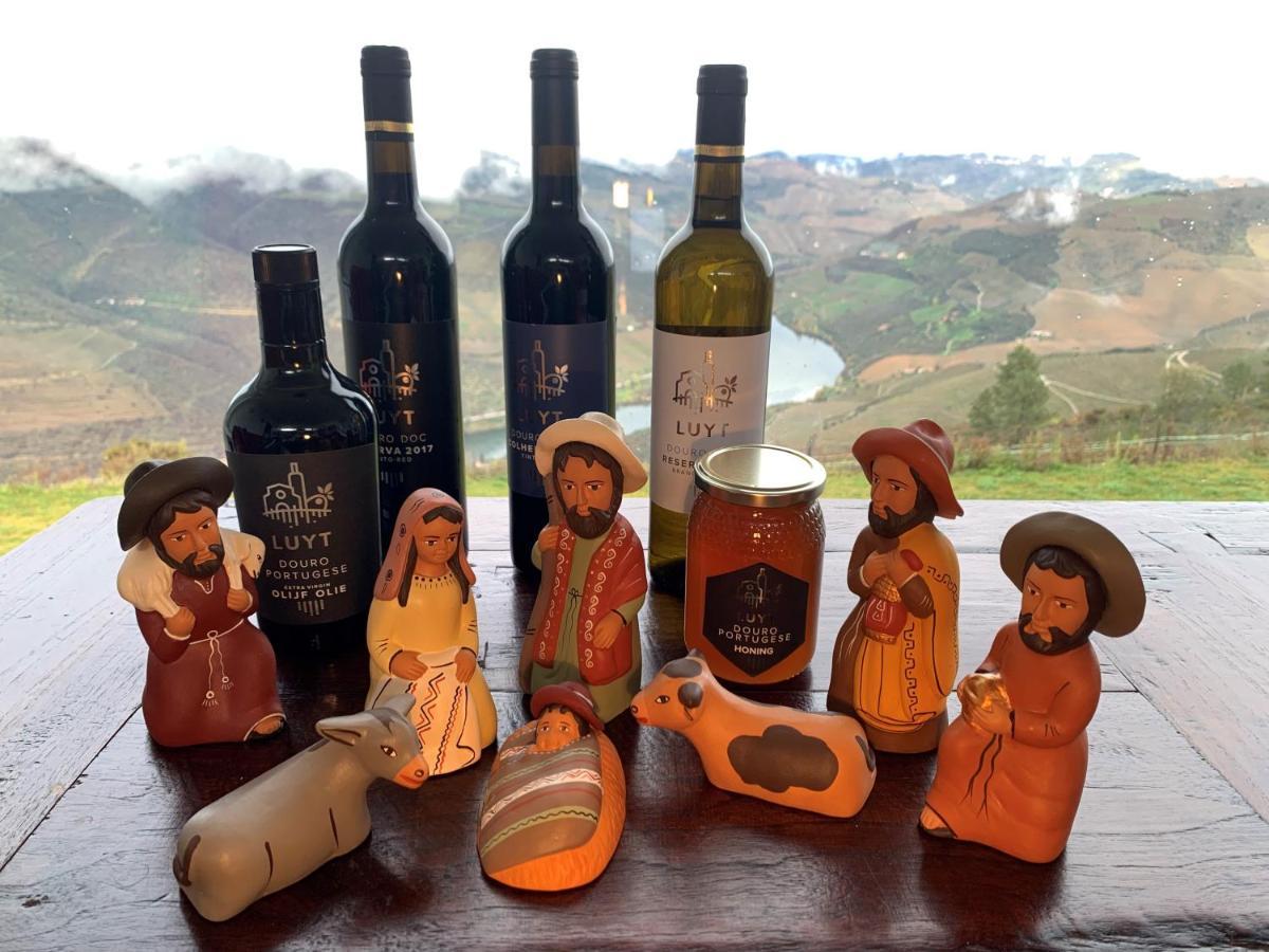 Stay At The Winemaker Ervedosa do Douro 外观 照片