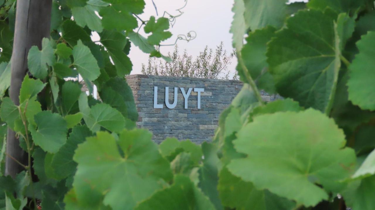 Stay At The Winemaker Ervedosa do Douro 外观 照片